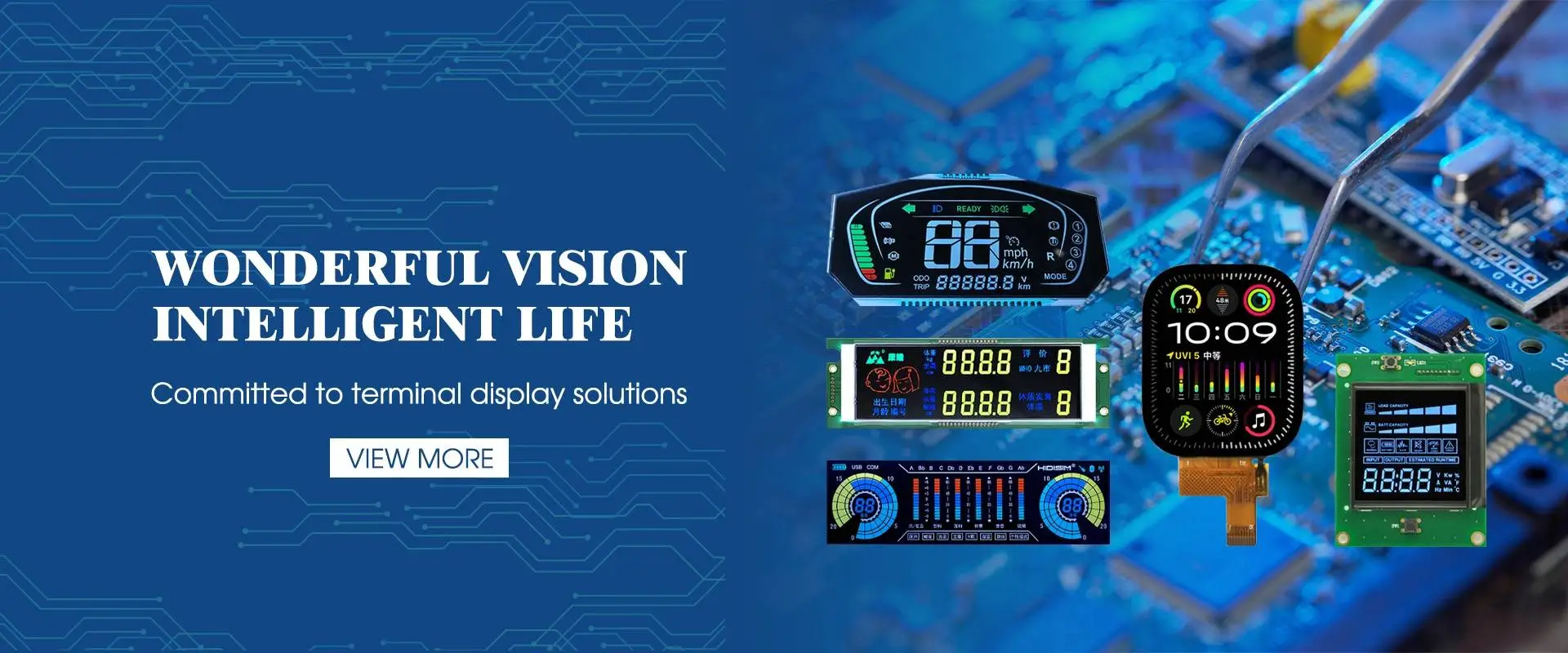 LCD मोड्युल निर्माता